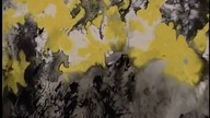 Introwizje.  Jerzy Skolimowski.  Dokument (2005)
