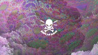 Sylwestrowy psytrance Mix! DJ Vishva na Rave FM Audio Festival 2024