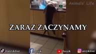 Jak tam matury młode żbiczki? Siema z powrotem...