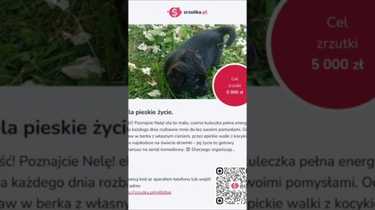 Gotowy scenariusz na komedię! Poznaj Nelę 
