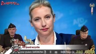 AfD ponad wszystko! - Olszański, Osadowski NPTV (06.09.2026)