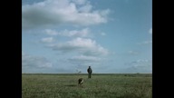 Cztery pory roku (1984)