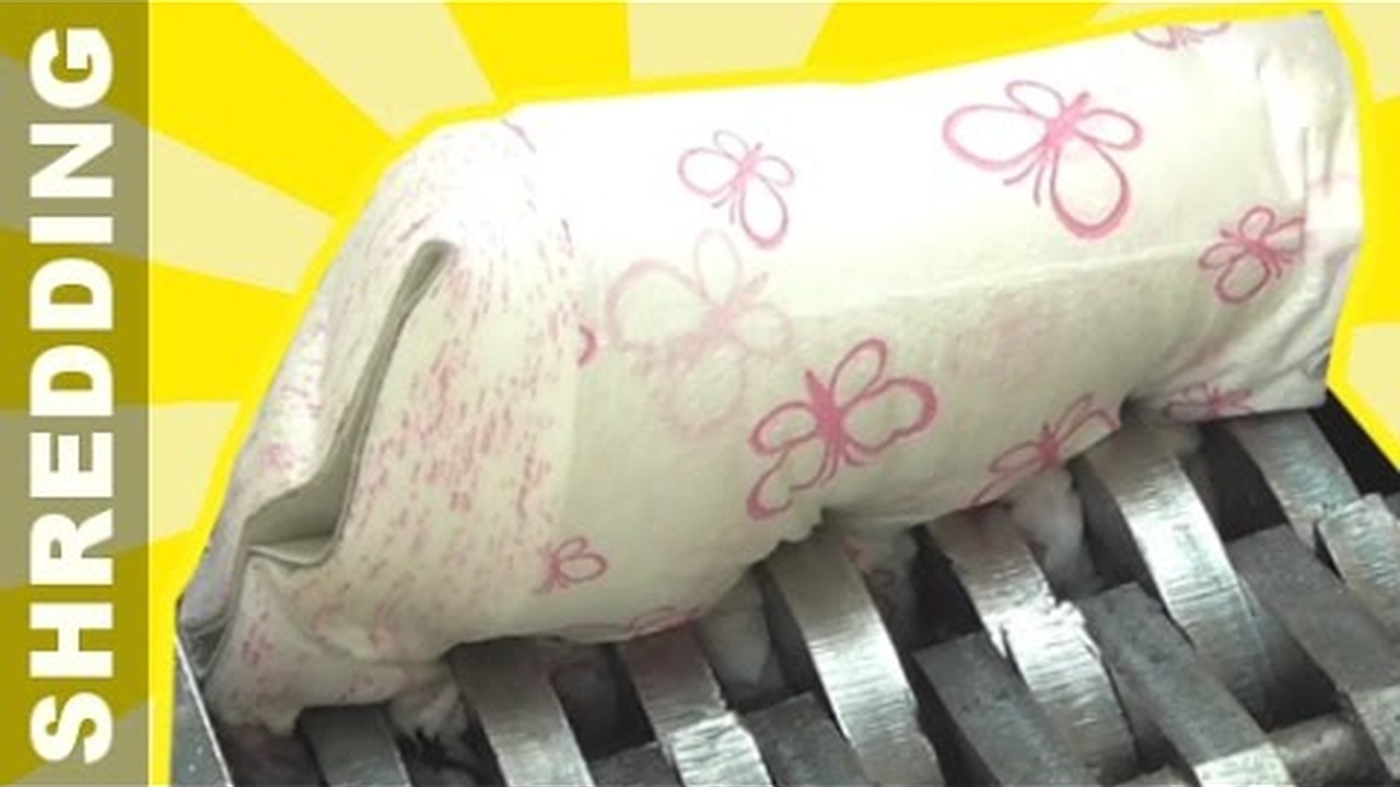 Shredding Toilet Paper CDA