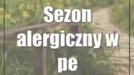 Alergia.  Jak wykryć i jak leczyć