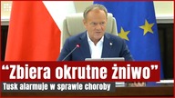 Tusk ogłosił pilne działania na granicach.  Zagrożenie groźną chorobą | Gazeta.pl