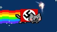 Nein cat