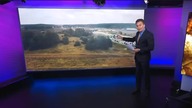 Imigranci na granicy Walaszkowane