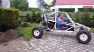 Wyrywanie krzewu z niespodziewanym wynikiem