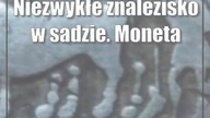 Niezwykłe znalezisko w sadzie.  Moneta, którą płacono w czasach przed Chrystusem