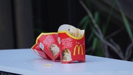 EXPERIMENT GUN vs MCDONALDS FRENCH FRIES