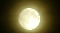moontraxx36