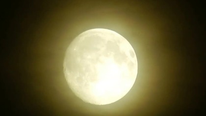 moontraxx36