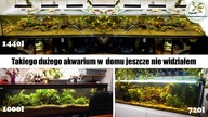 Kolejny zwariowany akwarysta którego warto zobaczyć.  #akwarele #akwarium #aquascape