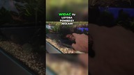 Jak Utrzymać Rośliny w Doskonałej Formie#AquaPlant #akwarium #aquascape #akwarystyka