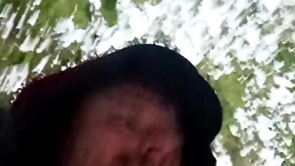 Leśne, deszczowe sprawy, czyli Pies Rubik i Sarmata na spacerze! Popołudniowy, ciemny, deszczowy