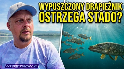 Ryby ostrzegają się przed wędkarzami? Niesamowite odkrycie