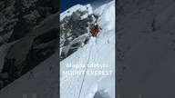 Polka zdobyła MOUNT EVEREST #shorts