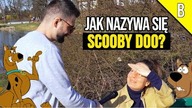 PODCHWYTLIWE PYTANIA: JAK NAZYWA SIĘ PIES Z FILMU SCOOBY DOO
