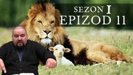 Tajemny Plan S01E11 | Jak Cała Biblia Zwiastuje Nadchodzące Kr&oacute;lestwo?