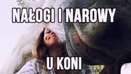 O kilku nałogach oraz narowach