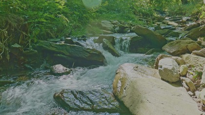 Forest Stream Cascade for Focus Fast Flowing Water Over Rocks