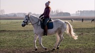 S02 E02 2022 w pigułce