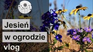 Jesień w ogrodzie.  Jesienne prace w ogrodzie.  Planowanie nowych nasadzeń bylinowych