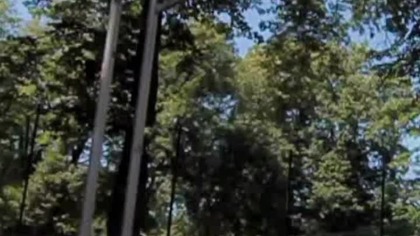 dźwięk łamanych kośći i obręczy #shorts