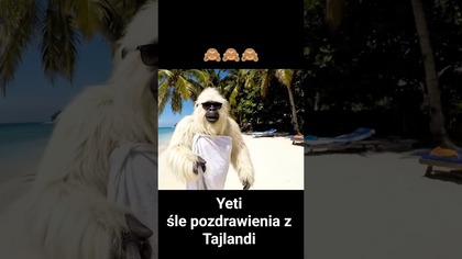 Yeti w Tajlandi  #zabawne #śmieszne #yeti #haha #śmiech #wesoło #funny #tailandia #komedia #humor