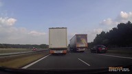 Wyścig słoni na autostradzie kontra typowy kierowca BMW