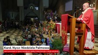 Kard.  Nycz: Niedziela Palmowa [Serwis informacyjny, KSTV Info]