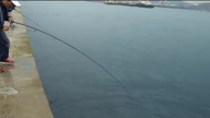 Shore Jigging Taiwan - 東堤 打魚蓋流哥第一彈