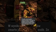 Koszmarne pożary w Hiszpanii.  Droga św.  Jakuba zamknięta dla pielgrzymów #shorts #news