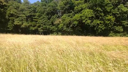 Kąpiel w jeziorku na golasa - Gracjan Roztocki