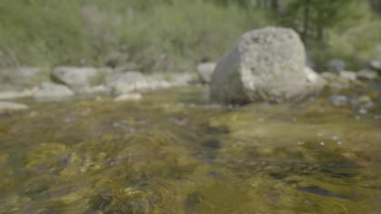 2H Close Stream Flow for Focus Real Outdoor Field Recording