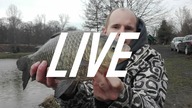 MAJOWE POGAWĘDKI - LIVE