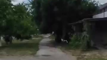 Marudzę jak zawsze.  #autostop #travelvlog #śmieszne #memes #travel #viral #vlog #podróże