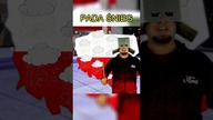 PADA ŚNIEG! #shorts