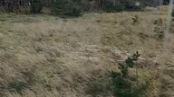 Promenada za szybą w Darłowie - bardzo dobrze, bo nie pizga przynajmniej xd Darłówko sztormowe