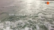 Islandia - narodziny wyspy-film dokumentalny lektor pl