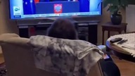 LAJDAK:}!!!!!!!!!!