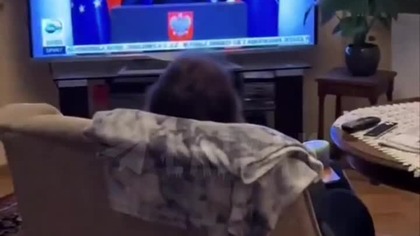 LAJDAK:}!!!!!!!!!!