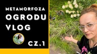Rośliny na obwódki rabat w ogrodzie.  Co zastosować na obrzeża rabat, trawnika, chodników?
