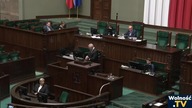  G.  Braun: Obywatelstwo nie upoważnia do zamoczenia kija w morzu bez podejrzenia o niecne zamiary?