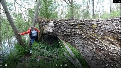 Odc-640-Cz. Nr 1-Rezerwat przyrody Jezioro Drużno (Gościnnie Ania)