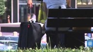Czemu wyrzucamy pety na ulice? Bo wszyscy to robią