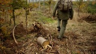 Survivalowa pochodnia z naturalnych materiałów