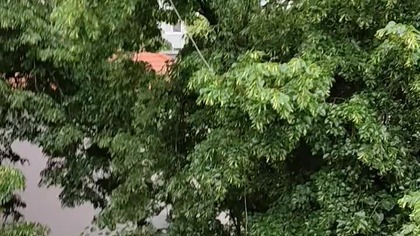 Czy mamy już porę deszczową? #poland #vlog #funny #śmieszne