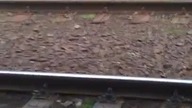 Polska policja w lesznie pomaga napitemu człowiekowi