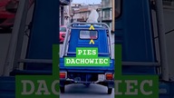 Sycylia taka jest #podróże #vanlifepolska #samochody